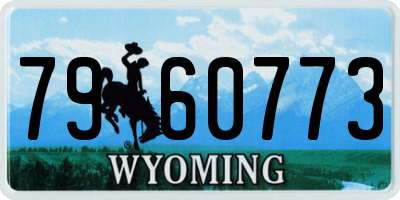 WY license plate 7960773
