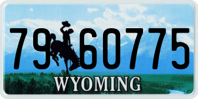 WY license plate 7960775