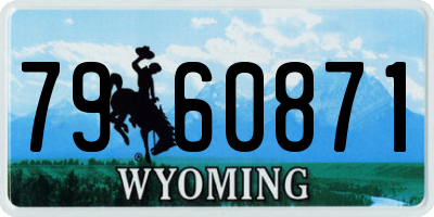 WY license plate 7960871