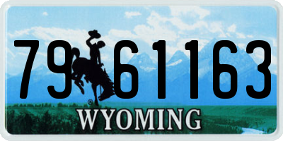 WY license plate 7961163