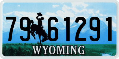 WY license plate 7961291