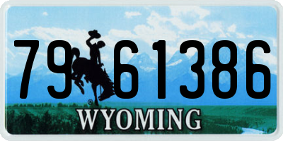 WY license plate 7961386