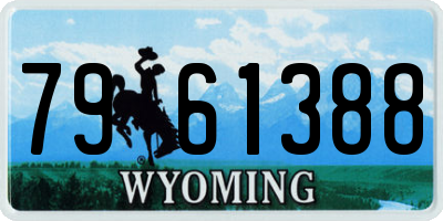 WY license plate 7961388