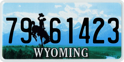 WY license plate 7961423