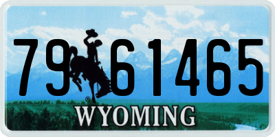 WY license plate 7961465