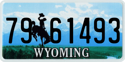 WY license plate 7961493