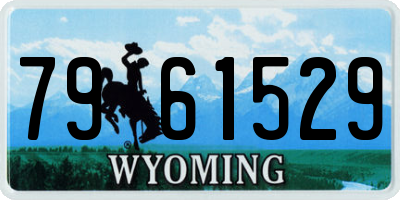 WY license plate 7961529