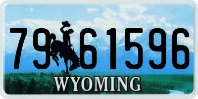 WY license plate 7961596