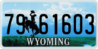 WY license plate 7961603