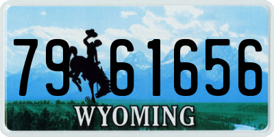 WY license plate 7961656