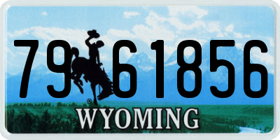 WY license plate 7961856