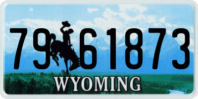 WY license plate 7961873