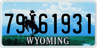 WY license plate 7961931
