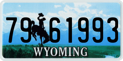 WY license plate 7961993