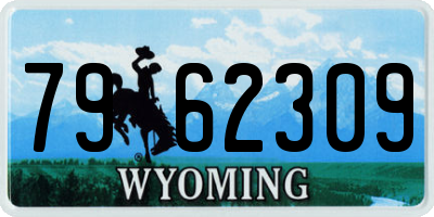 WY license plate 7962309