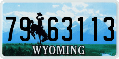 WY license plate 7963113