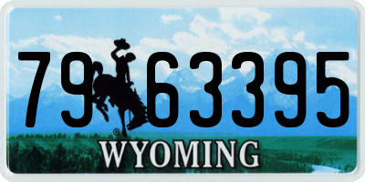 WY license plate 7963395