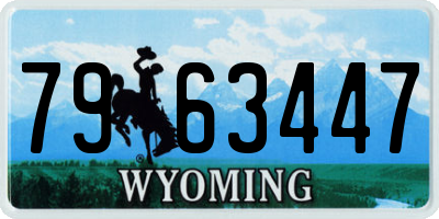 WY license plate 7963447