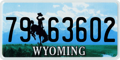 WY license plate 7963602