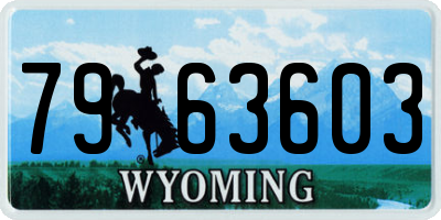 WY license plate 7963603
