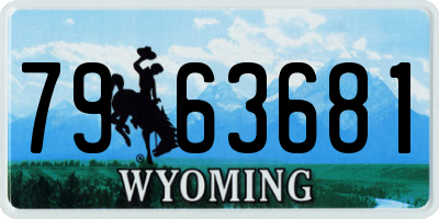 WY license plate 7963681