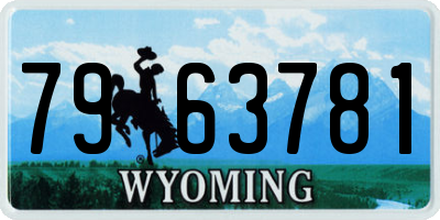 WY license plate 7963781