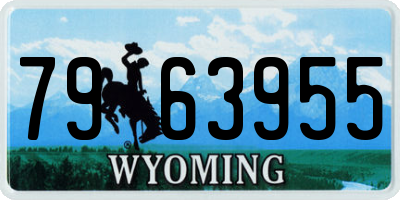 WY license plate 7963955