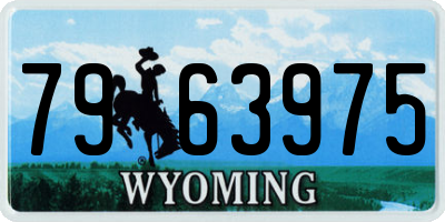 WY license plate 7963975