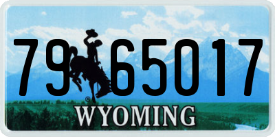 WY license plate 7965017