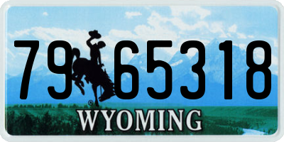 WY license plate 7965318