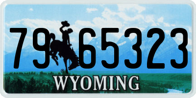 WY license plate 7965323