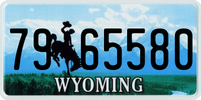 WY license plate 7965580