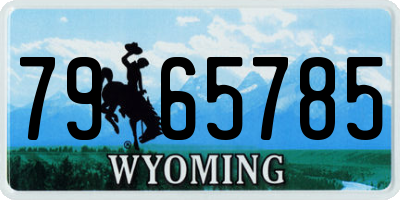 WY license plate 7965785