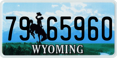 WY license plate 7965960