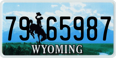 WY license plate 7965987