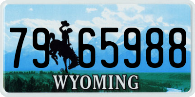 WY license plate 7965988