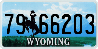 WY license plate 7966203