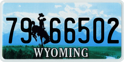 WY license plate 7966502