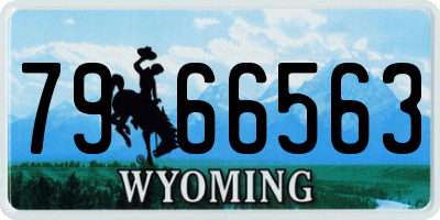 WY license plate 7966563