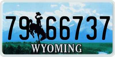 WY license plate 7966737