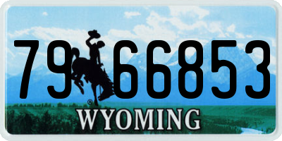 WY license plate 7966853