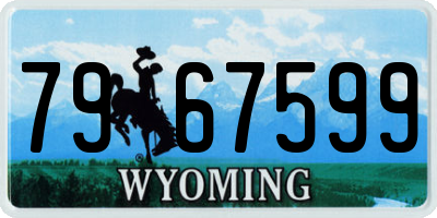 WY license plate 7967599