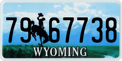 WY license plate 7967738