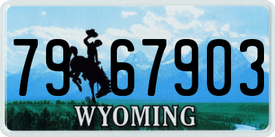 WY license plate 7967903