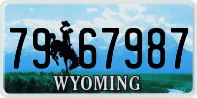 WY license plate 7967987