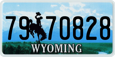 WY license plate 7970828