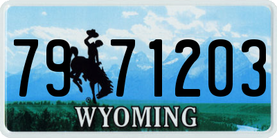 WY license plate 7971203