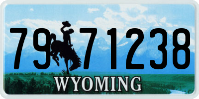 WY license plate 7971238
