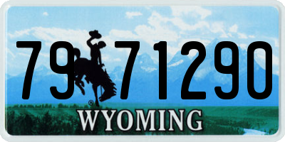 WY license plate 7971290