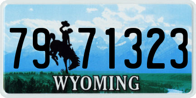 WY license plate 7971323